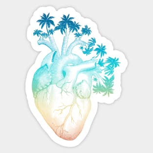 Vintage Colored Anatomically Correct Human Heart - Palm Trees Sticker